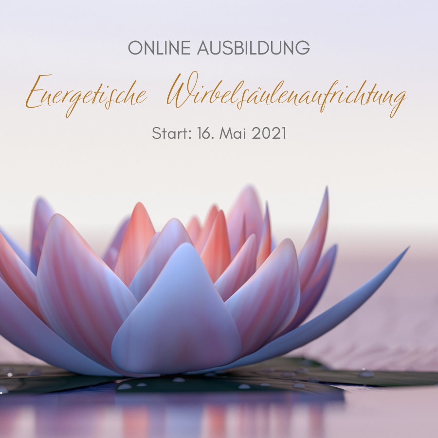 Energetische Wirbelsäulenaufrichtung Ausbildung Shop